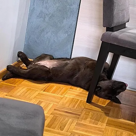 Apartment Ggg *